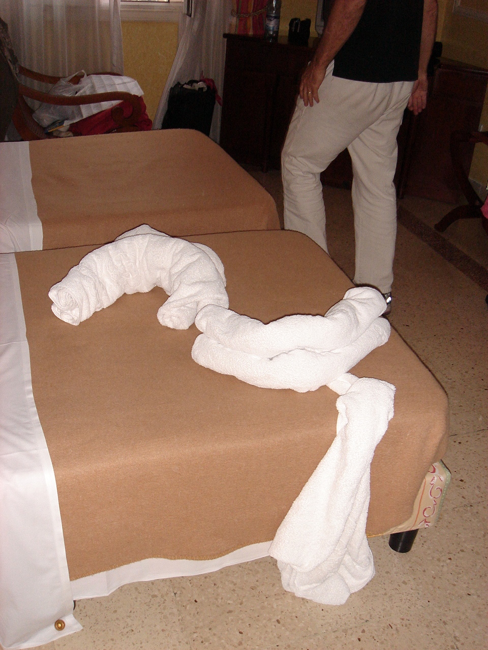 towel-sculpture made by our hotel maids