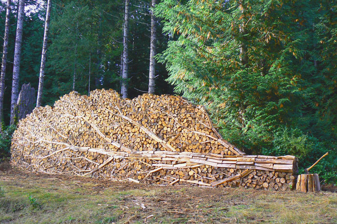 one day at a time...one stick of wood at a time...one action we choose to take...prioritizing, and creating order among the chaos of our lives