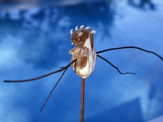 Sufi Bird (view 1), mixed media, 20x17x5 inches