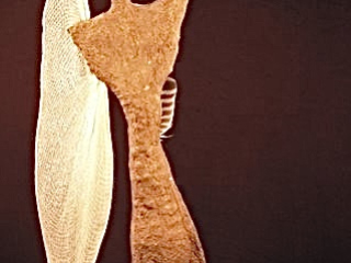 One-armed Angel (view 1), mixed meida, 30x15x8 inches